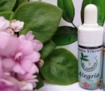 aromaterapia vibracional