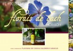 Florais - Link (1)